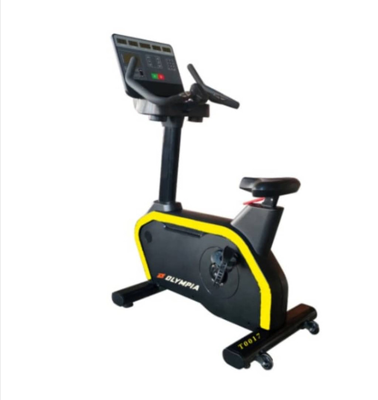 چرخ ثابت ایستاده المپیا مدل T0017